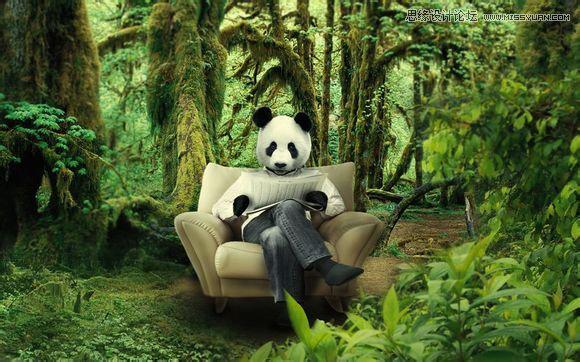 用PS合成做在森林中看书的熊猫人