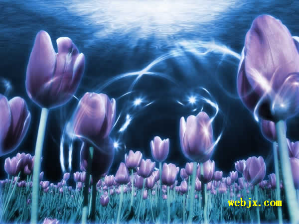 用PS合成生长在海底的紫色郁金香梦幻效果图片