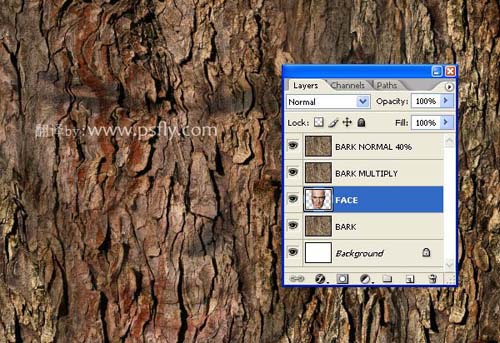 PS合成恐怖效果的树皮人脸效果教程