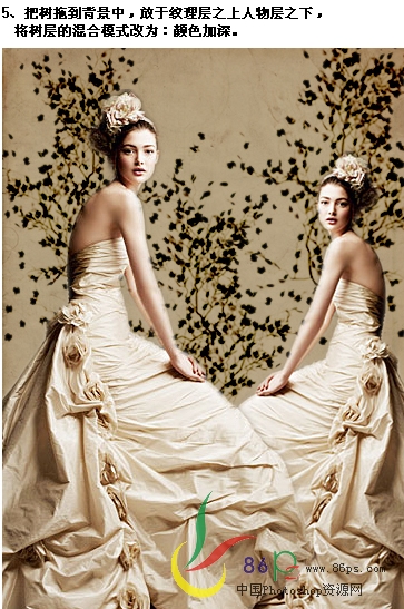 Photoshop合成艺术的个性化的装饰婚纱照片