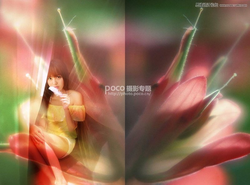 Photoshop后期合成唯美的花朵人像效果图