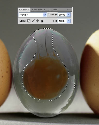 Photoshop合成逼真的透明鸡蛋图文教程