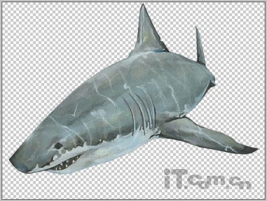 PS合成3D画：从相框当中冲出的鲨鱼