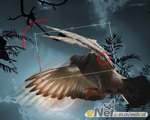 Photoshop合成制作信鸽在阴森恐怖大的月夜下飞翔特效