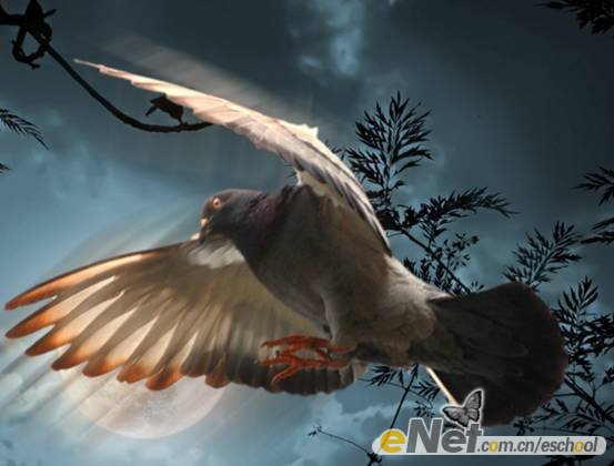 Photoshop合成制作信鸽在阴森恐怖大的月夜下飞翔特效