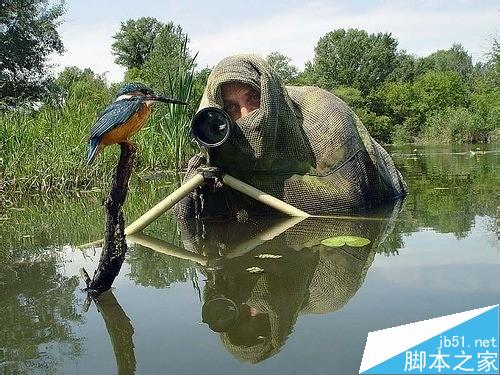 新手怎么学习摄影