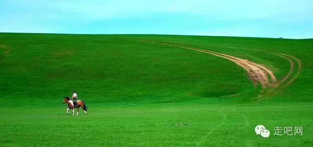摄影师从呼伦贝尔大草原回来，惊呼原来天堂的颜色是绿色！