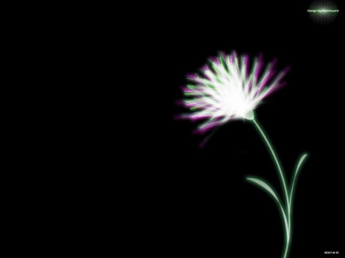 Fireworks ray暗黑中的花朵制作图解教程