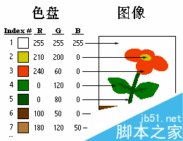 图像格式入门——索引色和抖动 软件云 CorelDraw入门教程