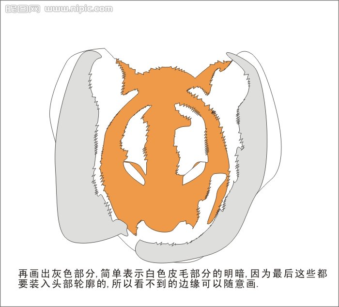 CDR绘制可爱的幼虎 软件云 CDR实例教程