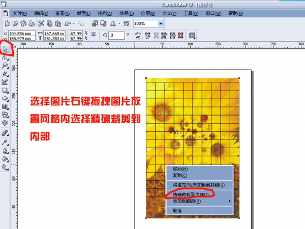 cdr任意拆分图片或矢量图形 软件云 cdr使用技巧