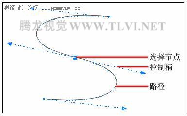 CorelDRAW中的贝塞尔工具详解,破洛洛