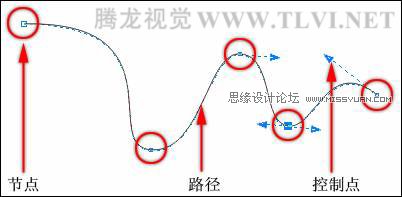 在CorelDRAW中的对象概述与选择对象,破洛洛