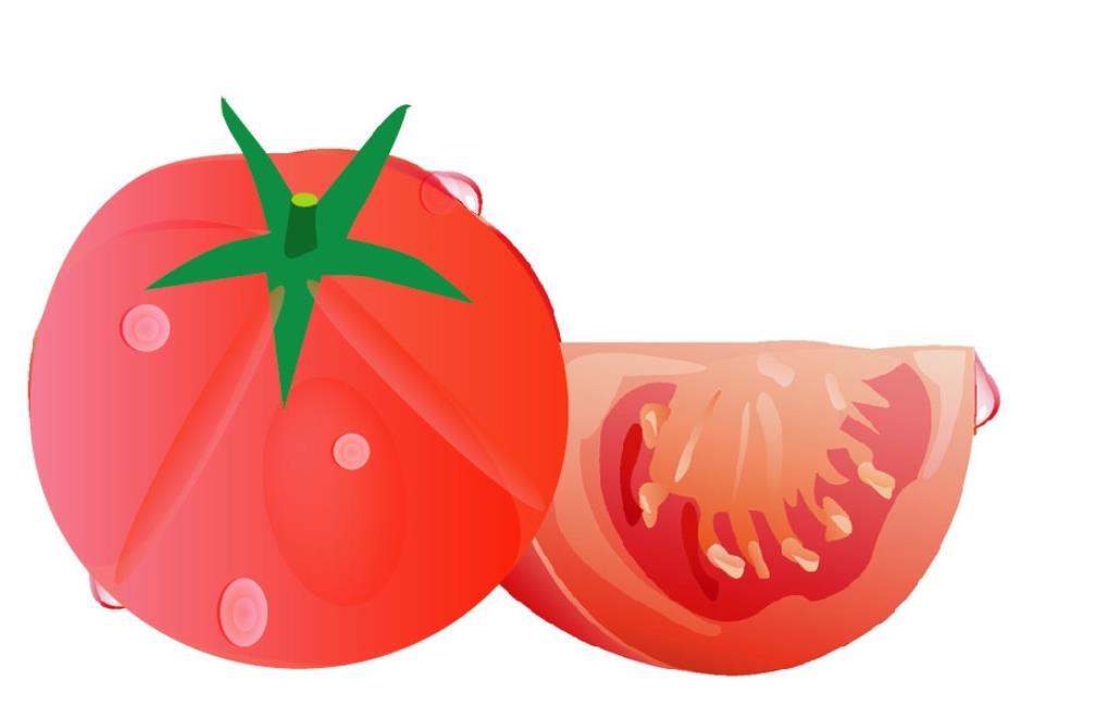 ai怎么手绘水彩画效果的红番茄素材? ai番茄的画法