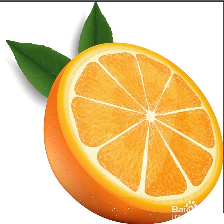 ai怎么手绘逼真的果冻橙? ai切开橙子的画法