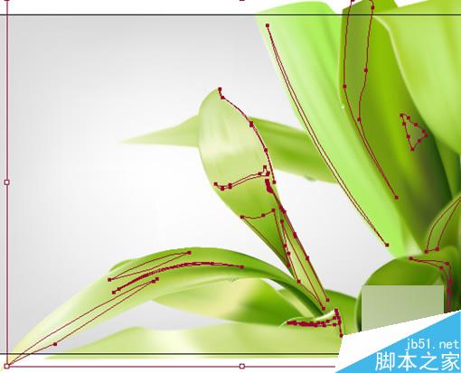 AI教程：用AI制作翠绿的树叶 软件云 AI教程