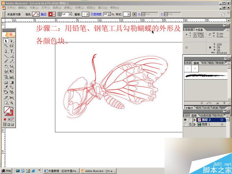 AI绘制逼真美丽的蝴蝶 软件云 AI教程