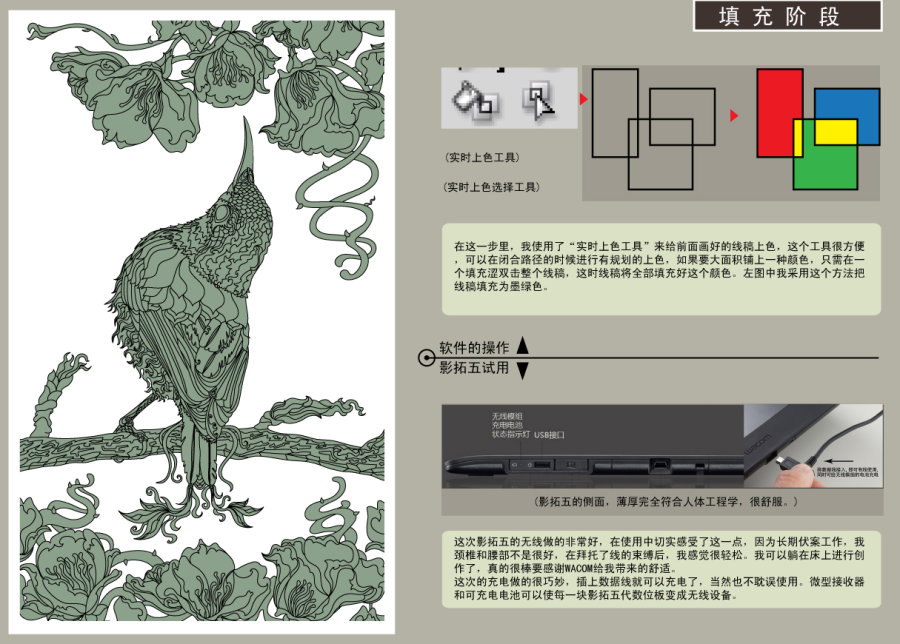 AI结合数位板绘制漂亮翠鸟插画过程 软件云 AI实例教程