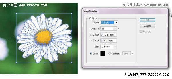 Illustrator绘制漂亮的白色雏菊效果,PS教程,思缘教程网