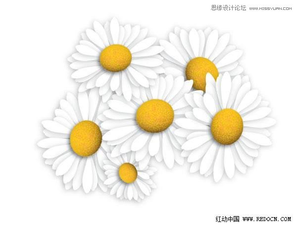 Illustrator绘制漂亮的白色雏菊效果,PS教程,思缘教程网