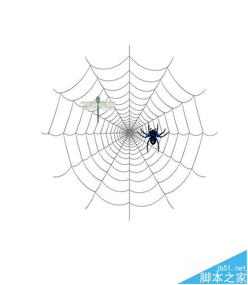 怎么用AI绘制蜘蛛网图案