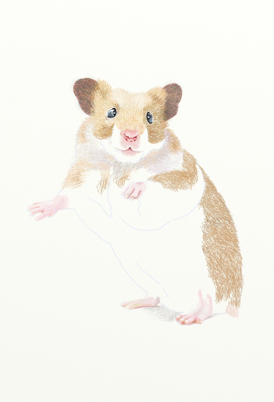 painter绘制一只可爱的老鼠 软件云 painter教程