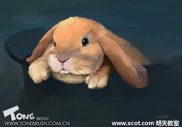 Painter绘制可爱的兔子插画教程