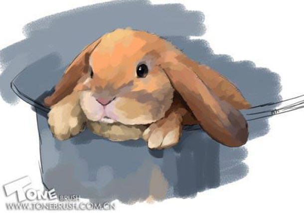 Painter绘制兔子插画 软件云 painter教程