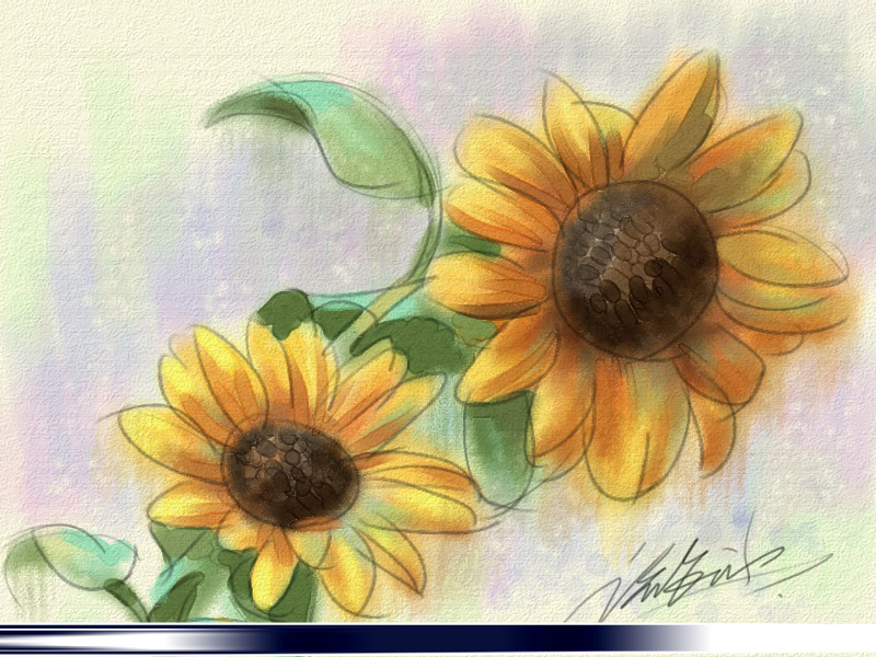 教你用painter绘制水彩油画双重效果的向日葵插画