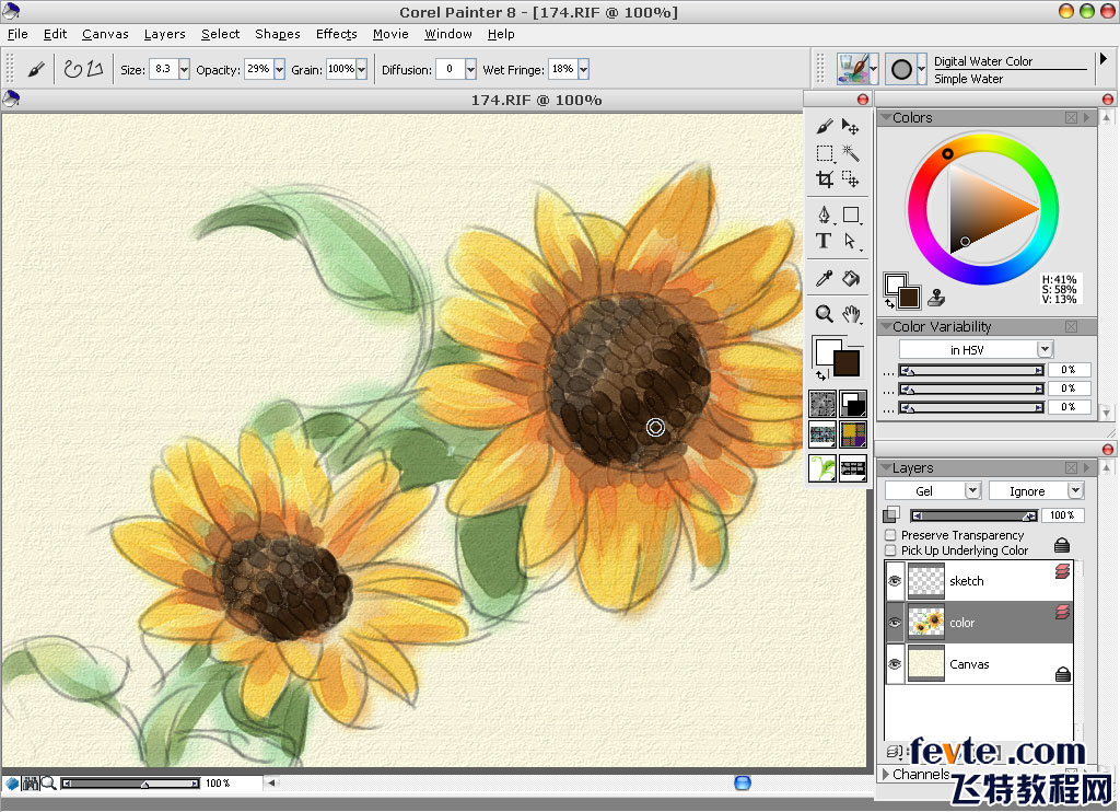 painter绘制水彩向日葵 软件云 painter教程