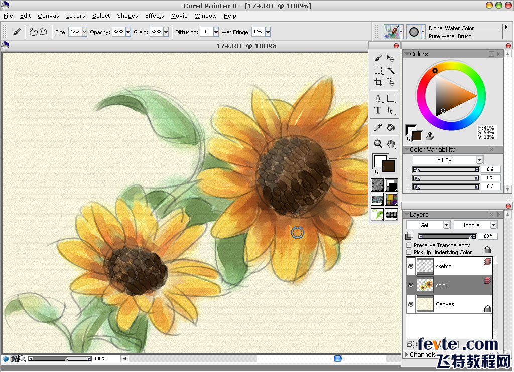 painter绘制水彩向日葵 软件云 painter教程