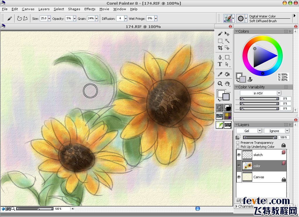 painter绘制水彩向日葵 软件云 painter教程