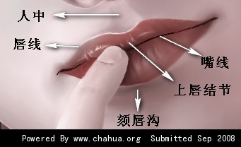 插画中国原创插画 http://bbs.chahua.org