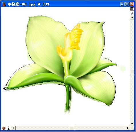 用Painter与数码板绘制逼真百合花_软件云jb51.net整理