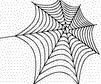 怎样使用freehand创建蜘蛛网效果
