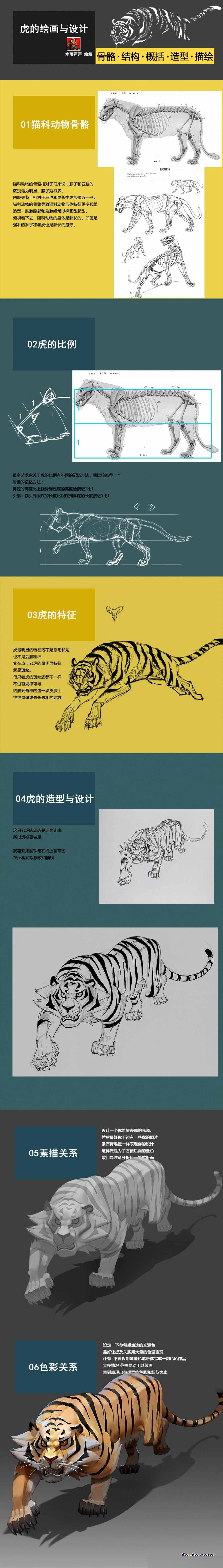 老虎的绘画与设计研究教程