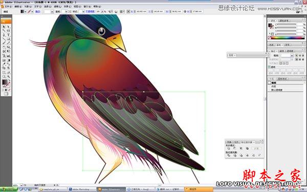 Illustrator绘制矢量风格的中国花鸟画,软件云