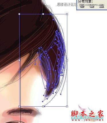 Illustrator网格工具绘制写实美女教程,软件云