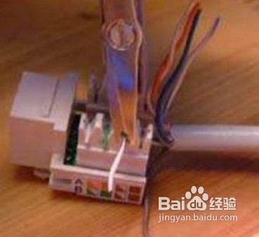 网线插座接法，网线模块制作及其安装