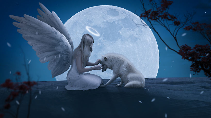PS合成月色场景中天使姑娘与白狼图片