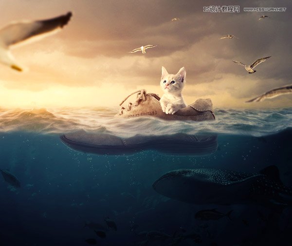 合成大海流浪可爱猫咪创意图片的PS教程