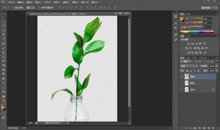 怎样用PS钢笔工具抠取植物图片的技巧