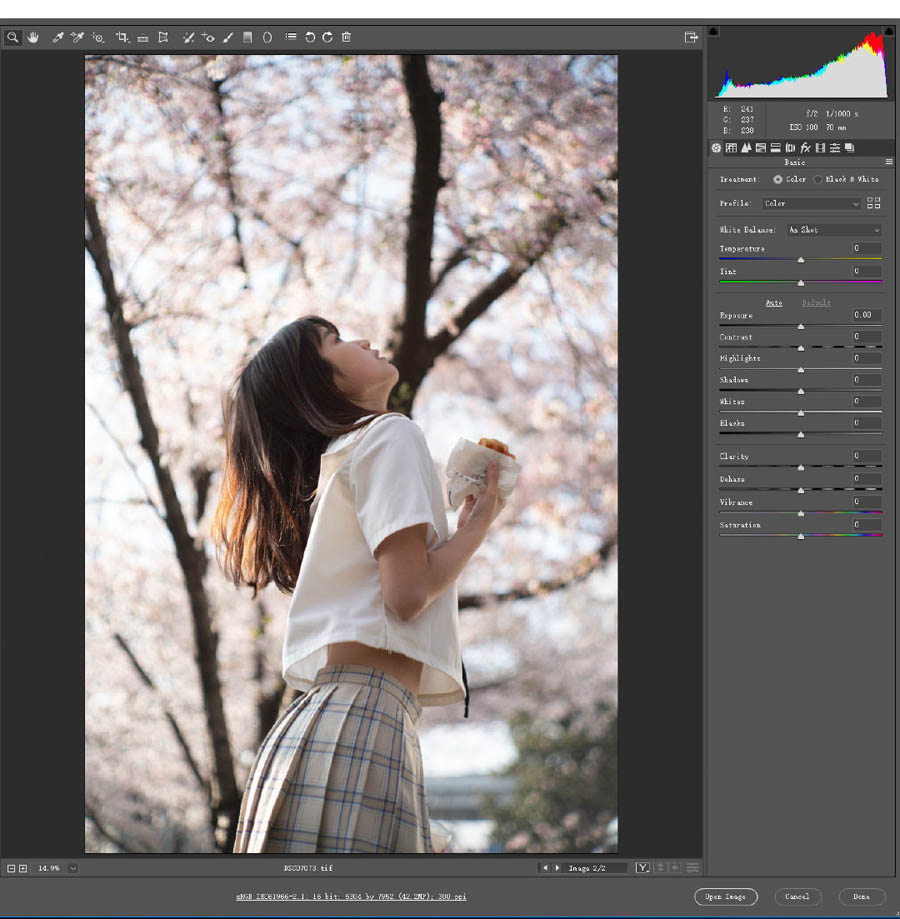 提亮樱花背景女生外拍照片的PS调色教程