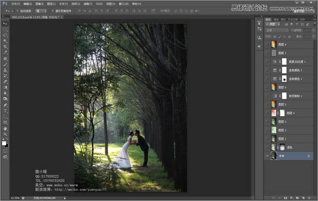 学习PS色彩渐变森林背景婚纱照片调色教程