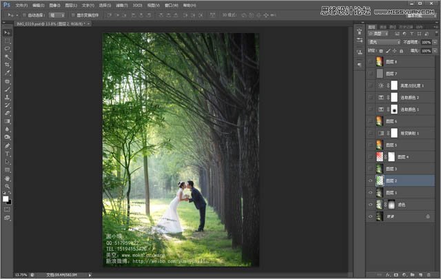 学习PS色彩渐变森林背景婚纱照片调色教程