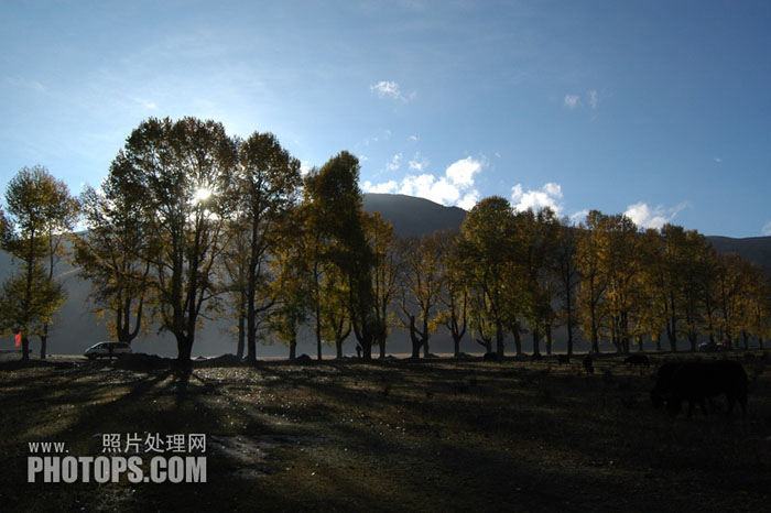 PS通道选区还原修复唯美阳光风景图片