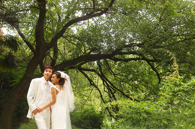 学习PS调出金秋树林背景的婚纱照片