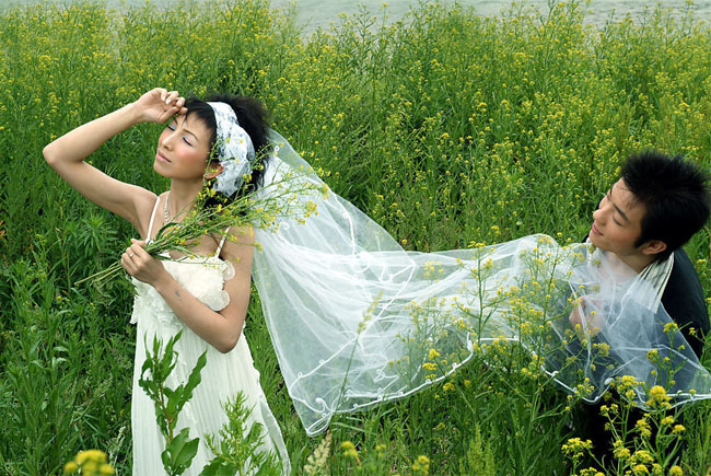 PS调出金黄色油菜花丛中的婚纱照片
