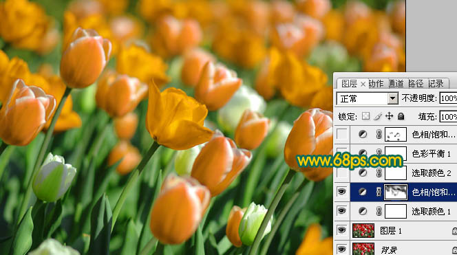 Photoshop调出橙黄郁金香照片色彩
