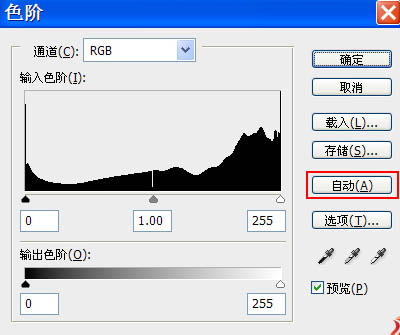 PS制作金色大气唯美外景婚纱照片